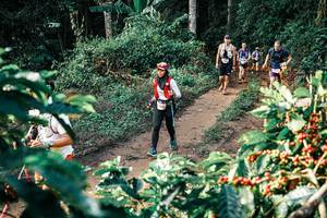 BIB: 
                            <button type="button" onclick="openModal(25837695)" class="btn btn-primary btn-sm float-right btn-popup" data-toggle="modal" data-target=".modal-high-quality">
                        <i class="fas fa-shopping-cart"></i> Add to Cart
                    </button>
                                            <button type="button" onclick="isThisMe(25837695, true)" class="btn btn-success btn-sm float-right btn-popup btn-isme hidden" data-toggle="tooltip" data-placement="bottom" title="นี่คือรูปของคุณใช่ไหม คลิกที่นี่เพื่อเอาเข้าอัลบั้ม">
                        <i class="fas fa-plus"></i> Add to album
                    </button>
                    <button type="button" onclick="isThisMe(25837695, false)" class="btn btn-warning btn-sm float-right btn-popup btn-isnotme hidden">
                        <i class="fas fa-ban"></i> Remove from album
                    </button>